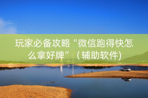 玩家必备攻略“微信跑得快怎么拿好牌”（辅助软件)