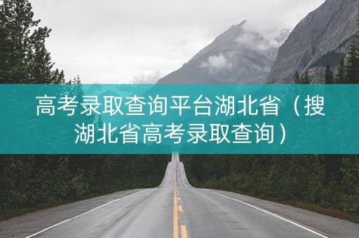 高考录取查询平台湖北省（搜湖北省高考录取查询）