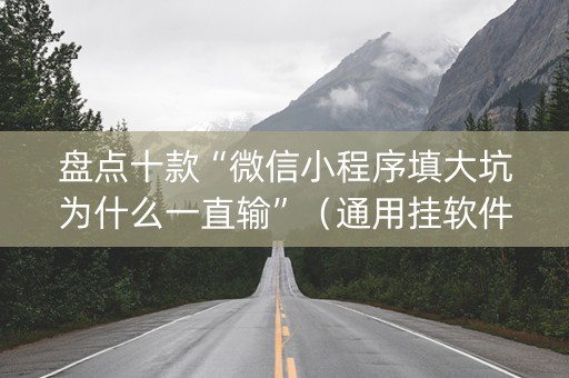 盘点十款“微信小程序填大坑为什么一直输”（通用挂软件多少钱)
