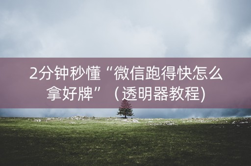 2分钟秒懂“微信跑得快怎么拿好牌”（透明器教程)