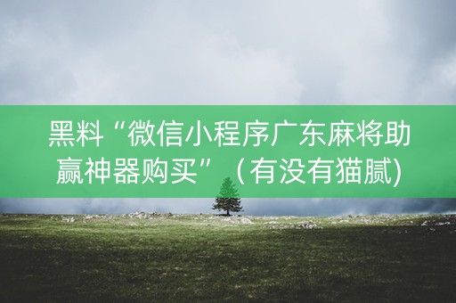 黑料“微信小程序广东麻将助赢神器购买”（有没有猫腻)