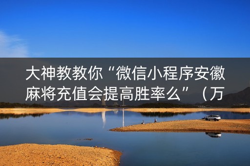 大神教教你“微信小程序安徽麻将充值会提高胜率么”（万能开挂器)