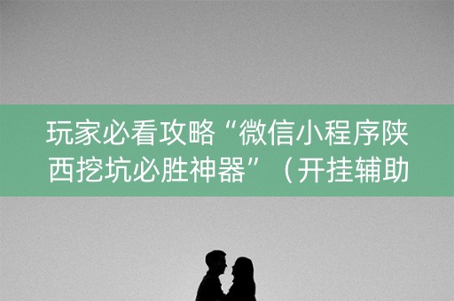 玩家必看攻略“微信小程序陕西挖坑必胜神器”（开挂辅助器插件)