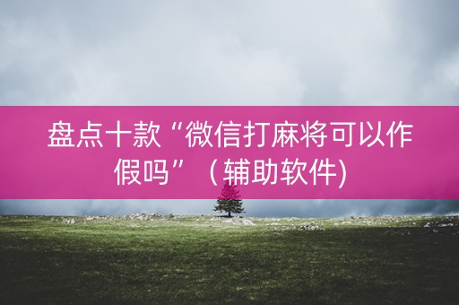 盘点十款“微信打麻将可以作假吗”（辅助软件)