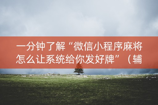 一分钟了解“微信小程序麻将怎么让系统给你发好牌”（辅助器下载)