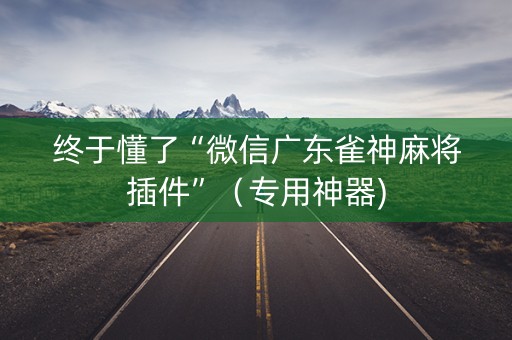 终于懂了“微信广东雀神麻将插件”（专用神器)