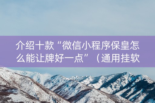 介绍十款“微信小程序保皇怎么能让牌好一点”（通用挂软件多少钱)