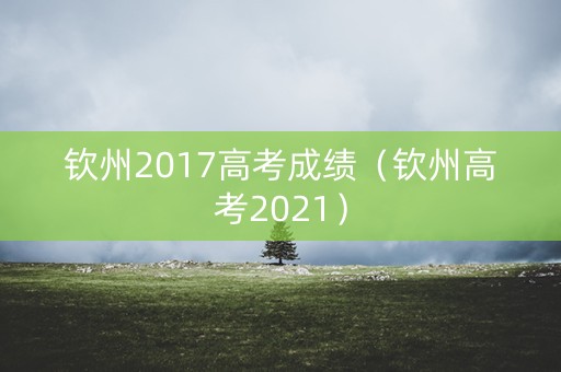 钦州2017高考成绩（钦州高考2021）