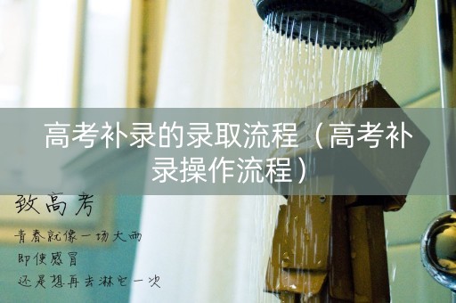 高考补录的录取流程（高考补录操作流程）