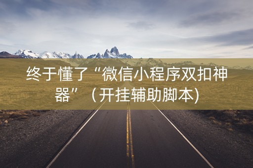 终于懂了“微信小程序双扣神器”（开挂辅助脚本)