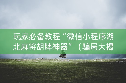 玩家必备教程“微信小程序湖北麻将胡牌神器”（骗局大揭秘)