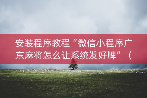 安装程序教程“微信小程序广东麻将怎么让系统发好牌”（攻略插件)