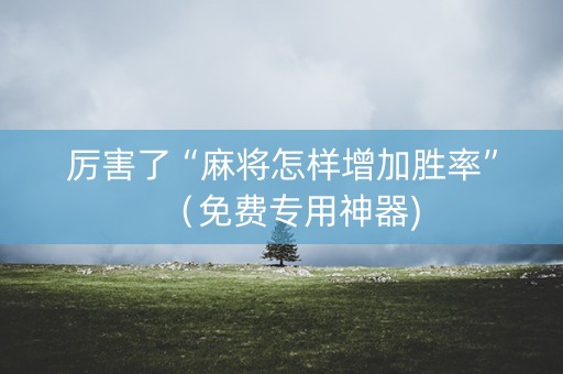厉害了“麻将怎样增加胜率”（免费专用神器)