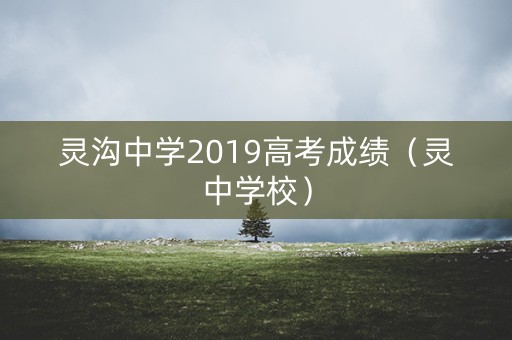 灵沟中学2019高考成绩（灵中学校）