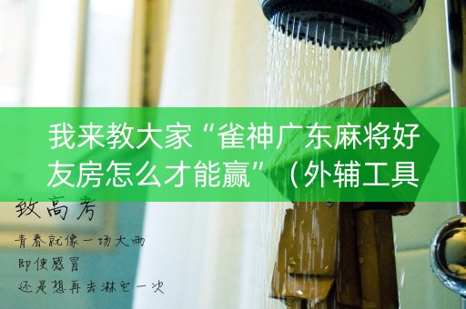 我来教大家“雀神广东麻将好友房怎么才能赢”（外辅工具)