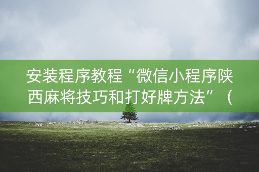 安装程序教程“微信小程序陕西麻将技巧和打好牌方法”（规律确实有挂)