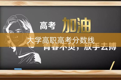 大学高职高考分数线