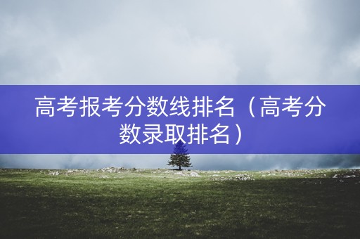 高考报考分数线排名（高考分数录取排名）