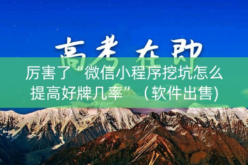 厉害了“微信小程序挖坑怎么提高好牌几率”（软件出售)