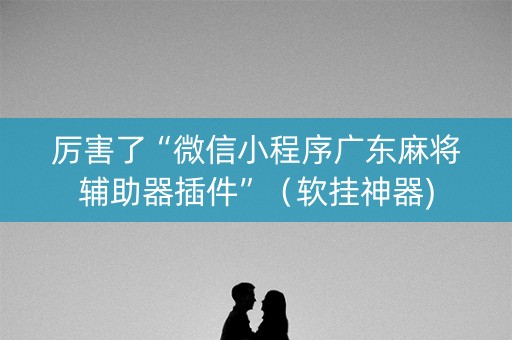 厉害了“微信小程序广东麻将辅助器插件”（软挂神器)