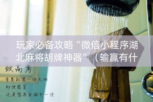 玩家必备攻略“微信小程序湖北麻将胡牌神器”（输赢有什么规律)