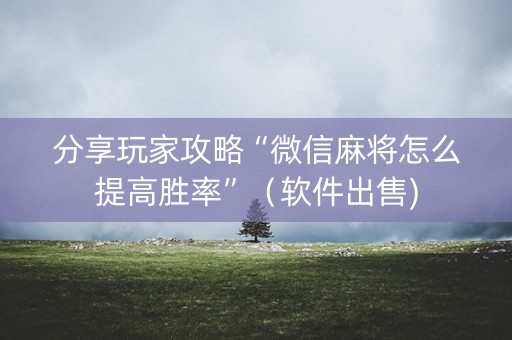 分享玩家攻略“微信麻将怎么提高胜率”（软件出售)