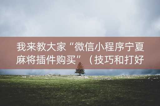我来教大家“微信小程序宁夏麻将插件购买”（技巧和打好牌方法)