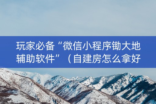 玩家必备“微信小程序锄大地辅助软件”（自建房怎么拿好牌)