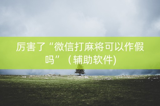 厉害了“微信打麻将可以作假吗”（辅助软件)