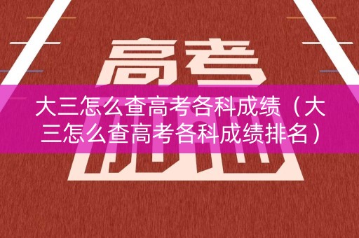 大三怎么查高考各科成绩（大三怎么查高考各科成绩排名）