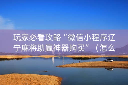 玩家必看攻略“微信小程序辽宁麻将助赢神器购买”（怎么能得到好牌)