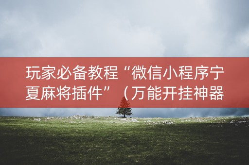 玩家必备教程“微信小程序宁夏麻将插件”（万能开挂神器)