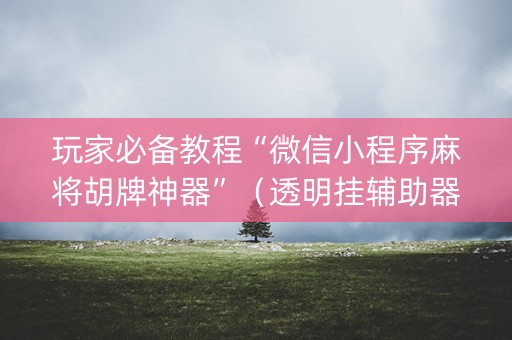 玩家必备教程“微信小程序麻将胡牌神器”（透明挂辅助器)