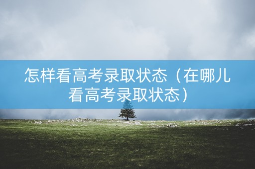 怎样看高考录取状态（在哪儿看高考录取状态）