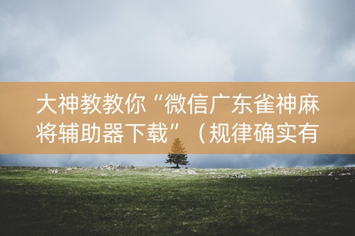 大神教教你“微信广东雀神麻将辅助器下载”（规律确实有挂)