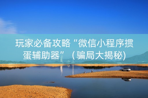 玩家必备攻略“微信小程序掼蛋辅助器”（骗局大揭秘)