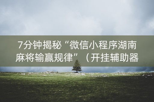 7分钟揭秘“微信小程序湖南麻将输赢规律”（开挂辅助器插件)