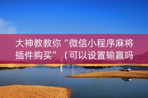 大神教教你“微信小程序麻将插件购买”（可以设置输赢吗)