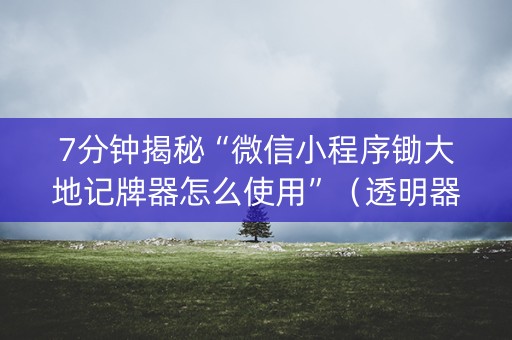 7分钟揭秘“微信小程序锄大地记牌器怎么使用”（透明器教程)