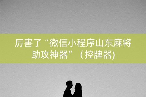 厉害了“微信小程序山东麻将助攻神器”（控牌器)