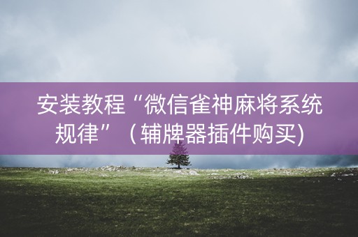 安装教程“微信雀神麻将系统规律”（辅牌器插件购买)