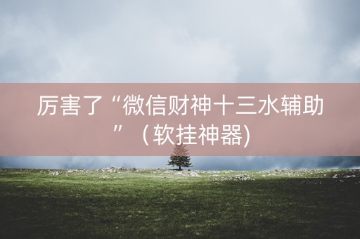 厉害了“微信财神十三水辅助”（软挂神器)