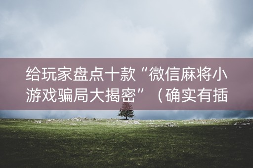 给玩家盘点十款“微信麻将小游戏骗局大揭密”（确实有插件吗)