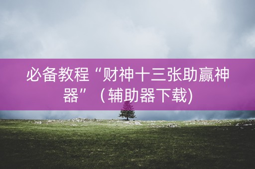 必备教程“财神十三张助赢神器”（辅助器下载)