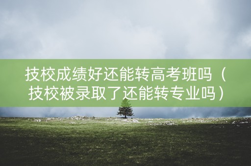 技校成绩好还能转高考班吗（技校被录取了还能转专业吗）