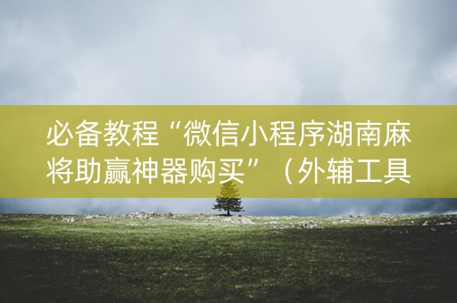 必备教程“微信小程序湖南麻将助赢神器购买”（外辅工具)