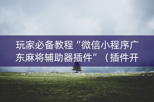 玩家必备教程“微信小程序广东麻将辅助器插件”（插件开挂免费AI)