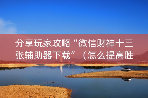 分享玩家攻略“微信财神十三张辅助器下载”（怎么提高胜率)