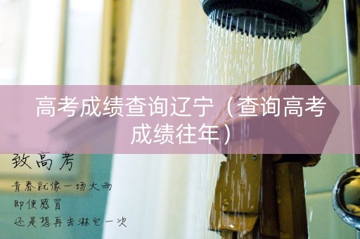 高考成绩查询辽宁（查询高考成绩往年）
