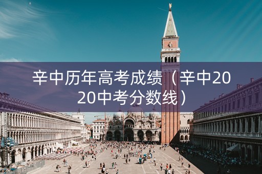 辛中历年高考成绩（辛中2020中考分数线）